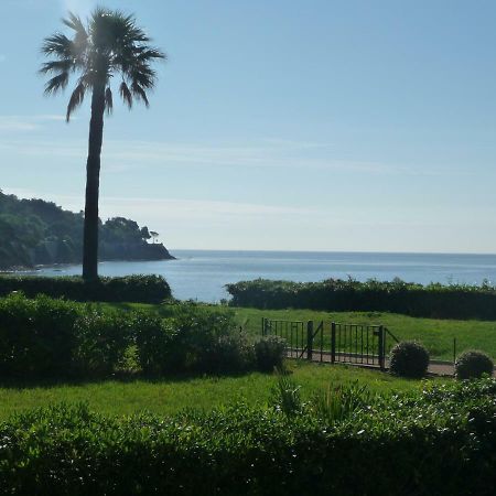 Grand Azur Etoile Marine Daire Sainte-Maxime Dış mekan fotoğraf